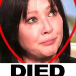 ST, EXTREMLY SAD NEWS FOR SHANNEN